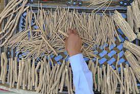 Siwak. (Foto: Antaranews)