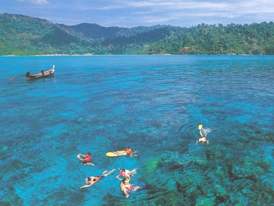 Blue Coral Terumbu Karang Pulau Abang Tambah Destinasi Wisata Kota ...