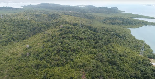 Pulau Tanjung Sauh, Kota Batam, Provinsi Kepulauan Riau (istimewa)