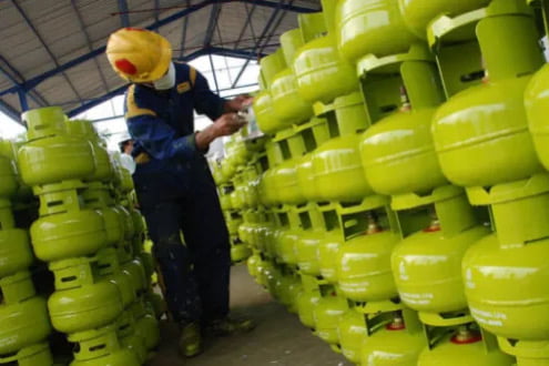 Petugas Pertamina saat melakukan pengecekan tabung gas LPG 3 kilogram (Pertamina Patra Niaga Kepri)