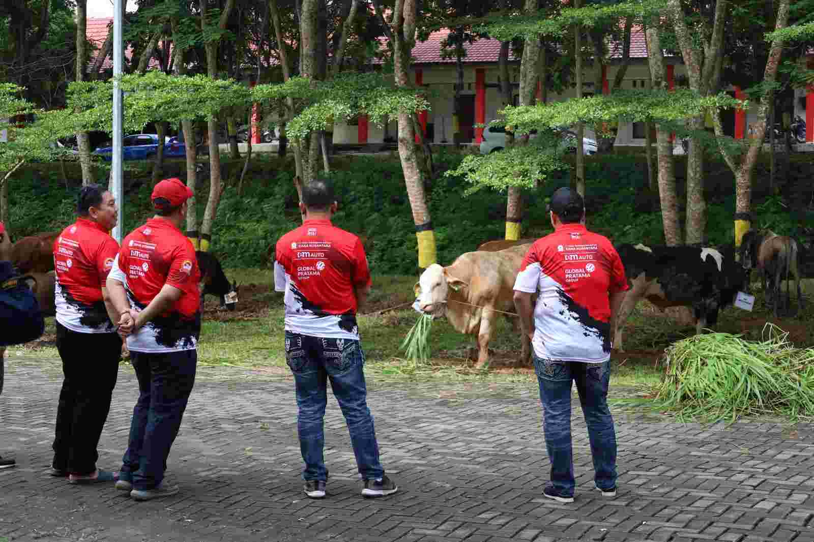 Kapolda Kepri Irjen Pol Yan Fitri Halimansyah saat melakukan pemeriksaan kesehatan 34 ekor sapi di Polda Kepri (Humas Polda Kepri)