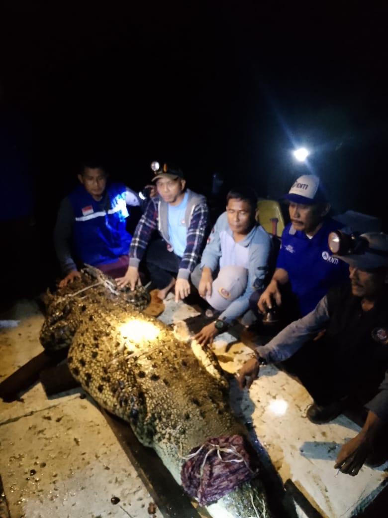 Pulau Bulan Penangkaran Buaya