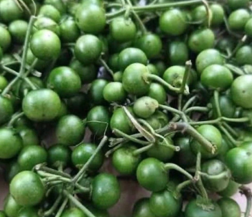 Sayur