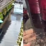 Viral Banjir di Sukoharjo Bercampur Oli Hitam, Warga Mulai Bingung saat Bersih-bersih: Bersihin Rumahnya Pasti Capek Banget