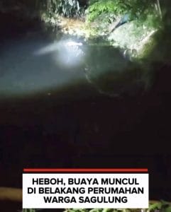 Seekor Buaya Muncul di Drainase Belakang SP Plaza Batam