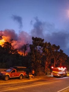 Hutan di Trans Barelang Terbakar, Polisi Selidiki Penyebab Kebakaran