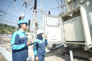 Hasil Investigasi PLN Batam Paska Batam Blackout, Hewan Liar Ganggu Gardu Listrik Sei Harapan