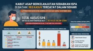 Kabut Asap Berkelanjutan Sebabkan ISPA, 405 Kasus Tercatat dalam Sehari di Batam