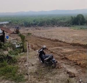 Aktivitas KSB di Kampung Tua Bagan Diduga Tak Berizin, Hutan Mangrove Batam Terancam Rusak
